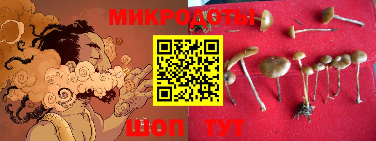 Псилоцибиновые грибы мухоморы Нефтекамск
