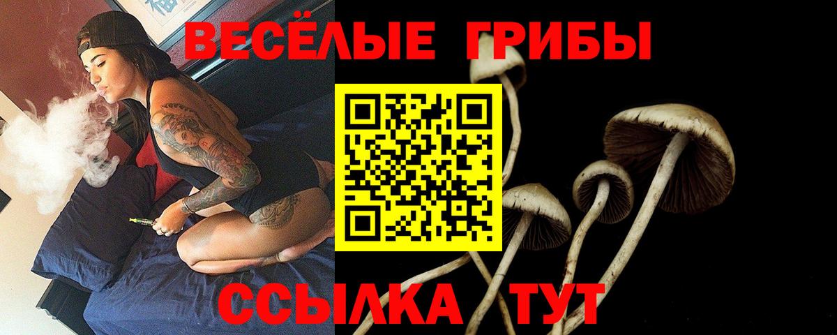 Псилоцибиновые грибы MAGIC MUSHROOMS  Вход с VPN  Нефтекамск 