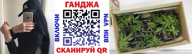 OMG зеркало  Нефтекамск  Канабис сатива 